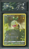 CA 9 Tortipouss thumbnail 1