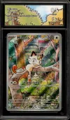 CA 9.5 Miaouss thumbnail 1