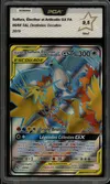 PCA 9.5 Sulfura, Électhor et Artikodin Gx thumbnail 1