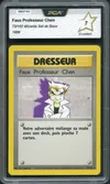 PCA 7 Faux Professeur Chen thumbnail 1