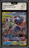 PCA 9.5 Tortank et Tiplouf Gx thumbnail 1