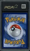 PCA 9.5 Kecleon thumbnail 2