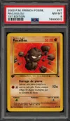 PSA 8 Racaillou thumbnail 1