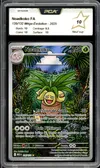 PCA 10 Noadkoko thumbnail 1