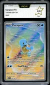PCA 9.5 Carapuce thumbnail 1