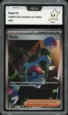 PCA 9.5 Pania thumbnail 1
