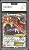 PCA 9.5 Méga Kangourex Ex thumbnail 1