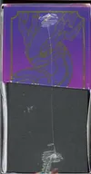 ETB EV1 Ecarlate et Violet thumbnail 4
