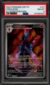 PSA 8 Malvalame thumbnail 1