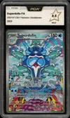 PCA 9.5 Superdofin thumbnail 1
