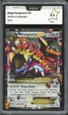 PCA 9.5 Méga Kangourex Ex thumbnail 1