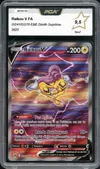 PCA 9.5 Raikou V thumbnail 1