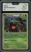 PCA 9.5 Torterra thumbnail 1