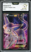 PCA 9 Mentali Ex thumbnail 1