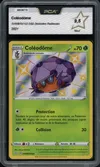 PCA 9.5 Coléodôme Shiny thumbnail 1