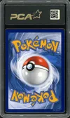 PCA 10 Zorua de N thumbnail 2