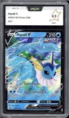 PCA 9.5 Aquali V thumbnail 1