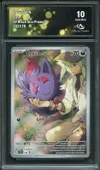 CA 10 Zorua de N thumbnail 1