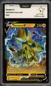 PCA 9 Zeraora V thumbnail 1