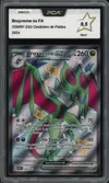 PCA 9.5 Bruyverne Ex Shiny thumbnail 1