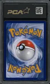PCA 9.5 Zorua de N thumbnail 2