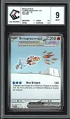 CCC 9 Bekaglaçon Ex thumbnail 1