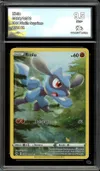 CA 9.5 Riolu thumbnail 1
