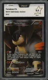 PCA 9.5 Terrakium thumbnail 1