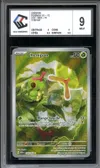 CCC 9 Chenipan thumbnail 1