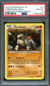 PSA 8 Terrakium Holo thumbnail 1
