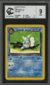CCC 9 Carabaffe Obscur thumbnail 1