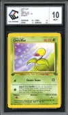 CCC 10 Chétiflor thumbnail 1