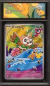 CA 9.5 Brindibou thumbnail 1