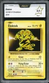PCA 9.5 Elektek thumbnail 1