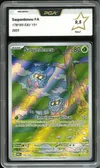 PCA 9.5 Saquedeneu thumbnail 1