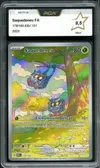 PCA 9.5 Saquedeneu thumbnail 1