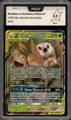 PCA 9.5 Brindibou et Noadkoko d’Alola Gx thumbnail 1