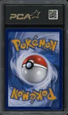PCA 9.5 Zorua de N thumbnail 2
