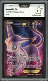 PCA 9 Mentali Ex thumbnail 1