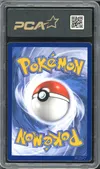 PCA 9.5 Zoroark de Hisui VStar thumbnail 2