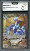 PCA 9.5 Palmaval Ex thumbnail 1