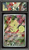 CA 9 Kecleon thumbnail 1