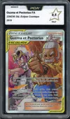 PCA 9.5 Guzma et Pectorius thumbnail 1