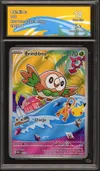 CA 10 Brindibou thumbnail 1