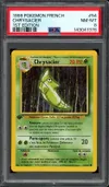 PSA 8 Chrysacier thumbnail 1