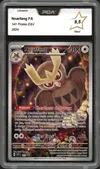 PCA 9.5 Noarfang thumbnail 1