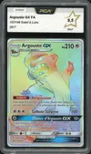 PCA 9.5 Argouste Gx Rainbow thumbnail 1