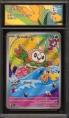 CA 9.5 Brindibou thumbnail 1