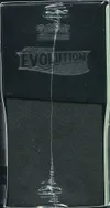 ETB EB7 Evolution Céleste thumbnail 4
