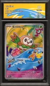 CA 10 Brindibou thumbnail 1